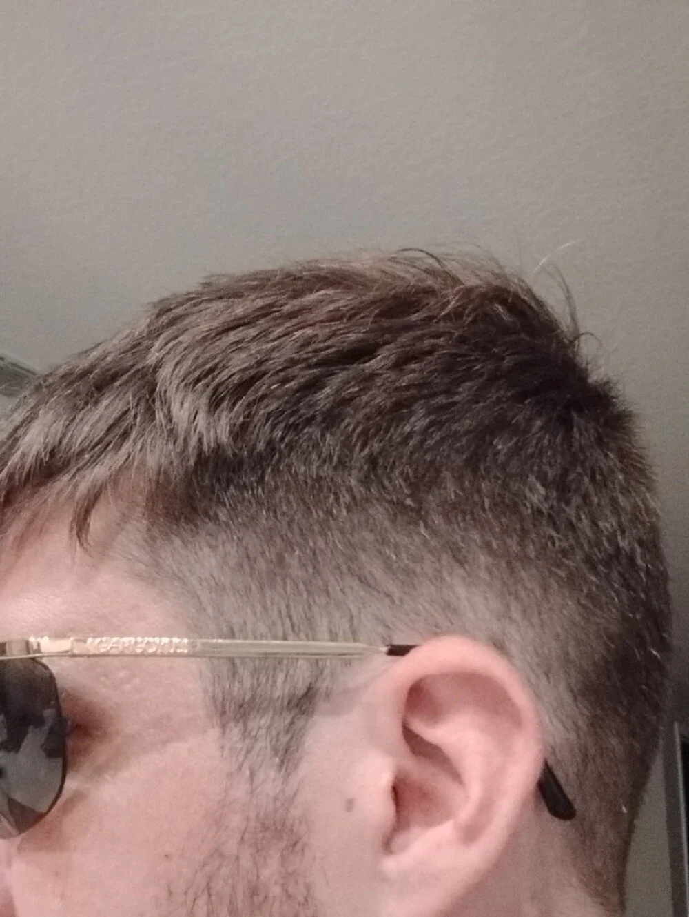 Gargoyles sleek men
